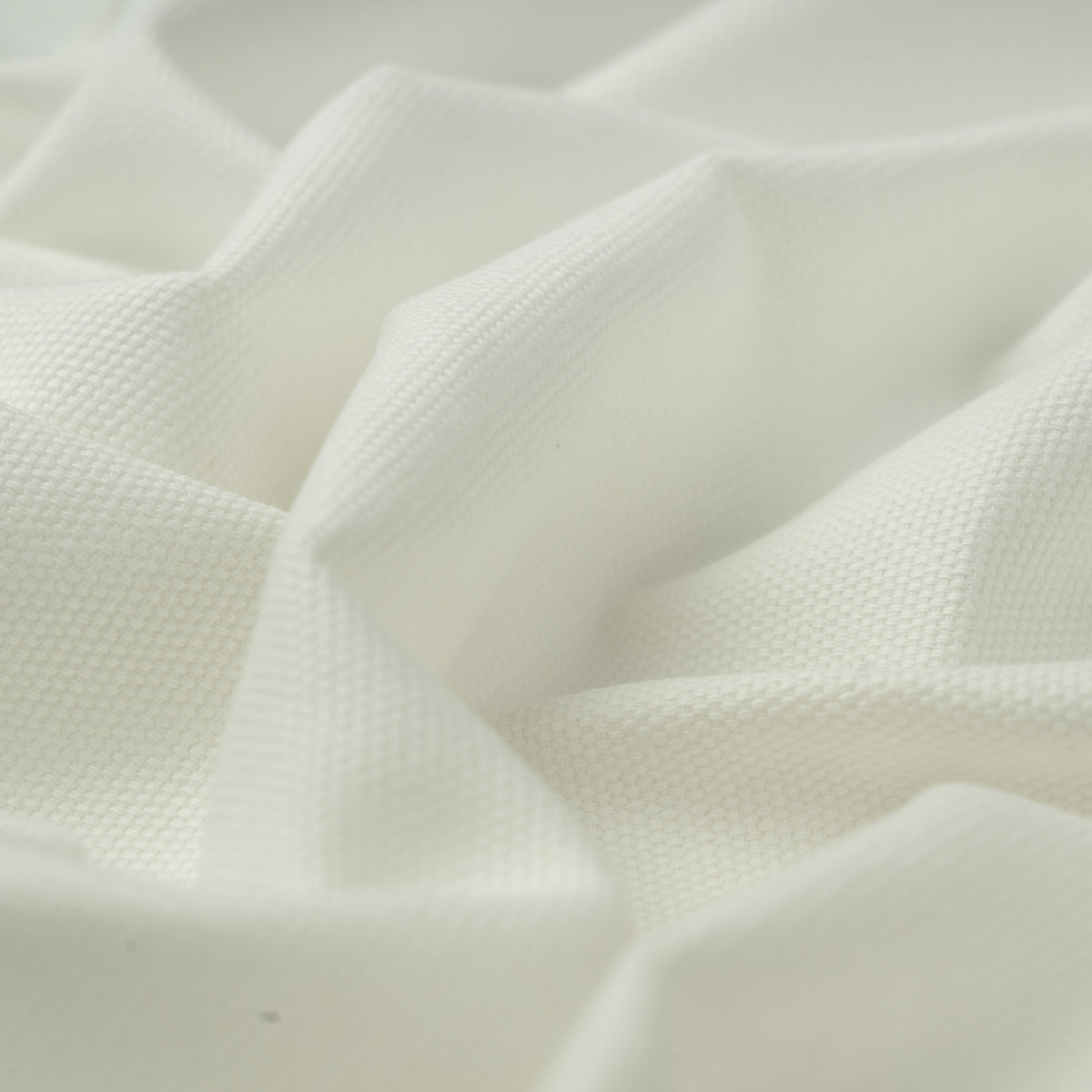 Cotton Canvas