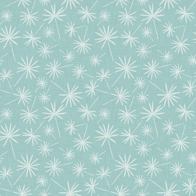 Robins Egg Aqua Blue