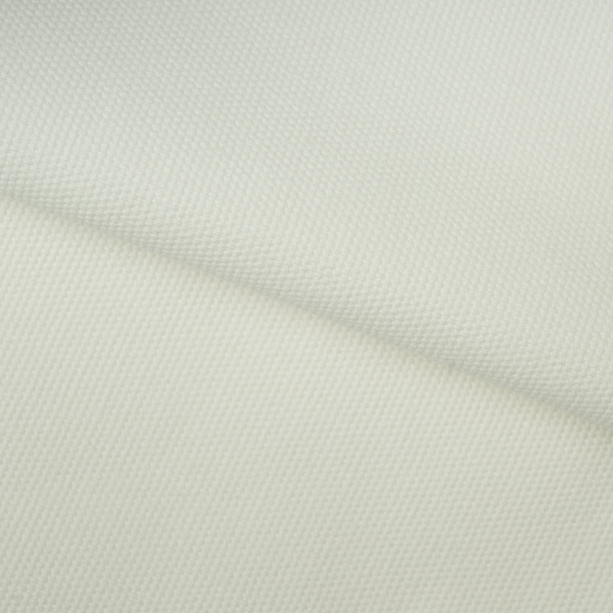 Cotton Canvas